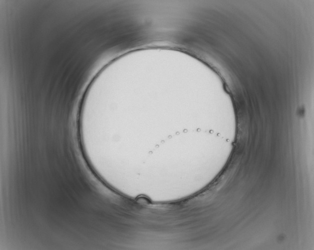 X0000116841483201001081448