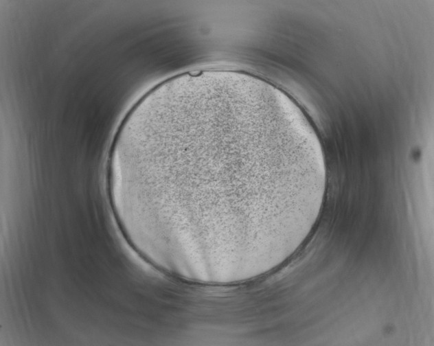 X0000116841484201001081448