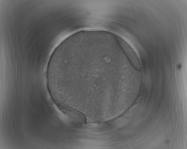 X0000116841485201001081448