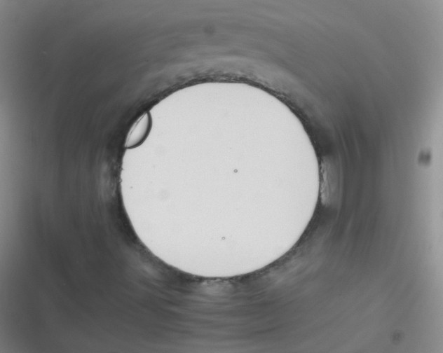 X0000116841491201001081447