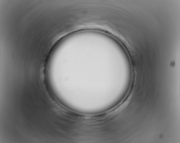 X0000116841497201001081447