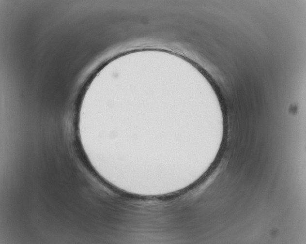 X0000116841502201001081448