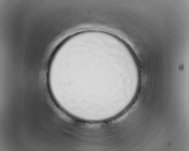 X0000116841503201001081448