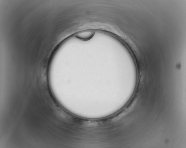 X0000116841505201001081448