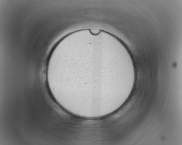 X0000116841510201001081448