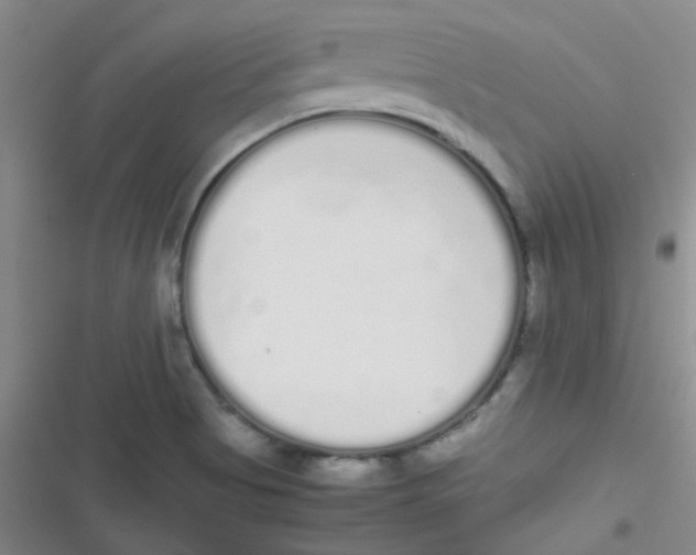 X0000116841513201001081448