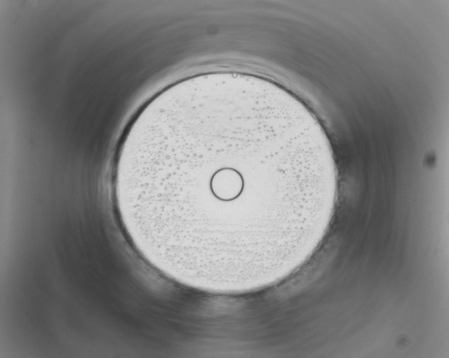 X0000116841514201001081448