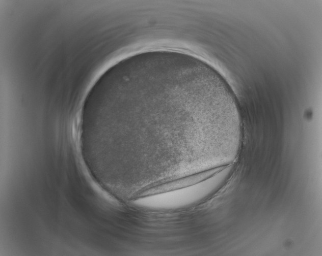 X0000116841515201001081448