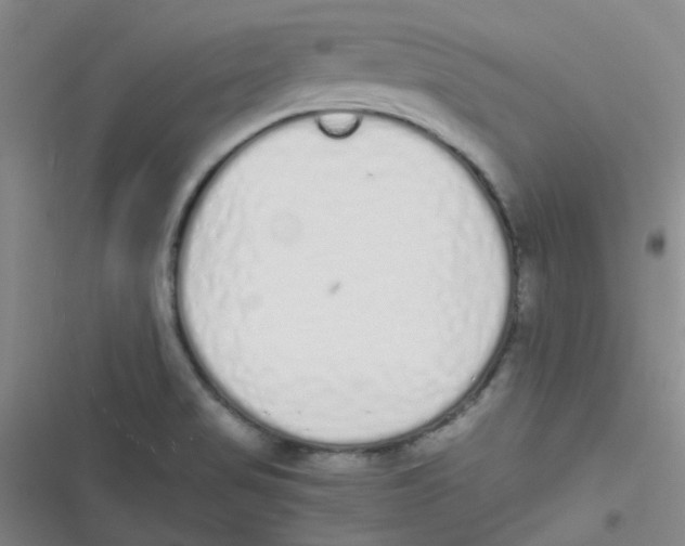 X0000116841517201001081448