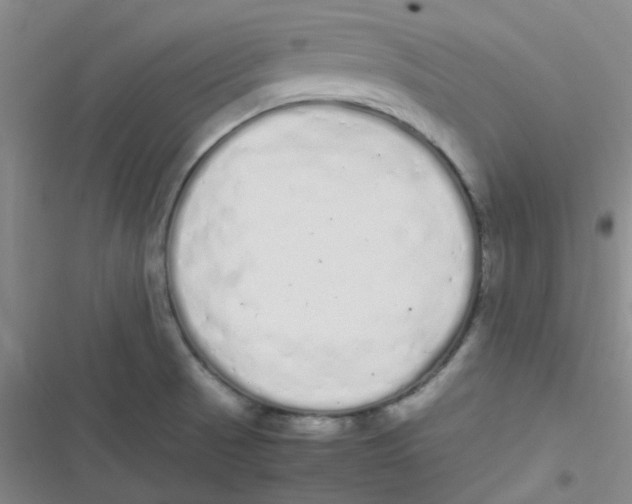 X0000116841521201001081448