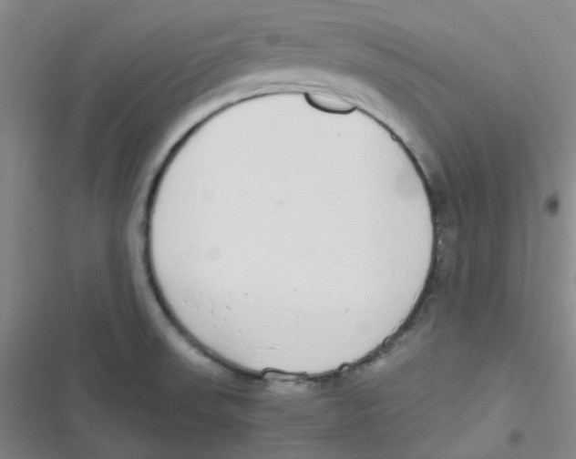 X0000116841523201001081448