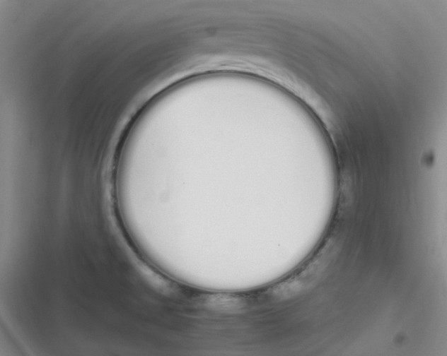 X0000116841525201001081448