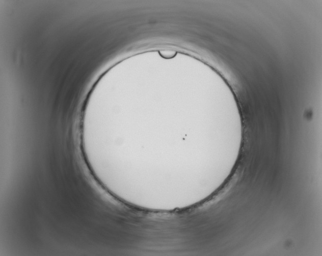 X0000116841526201001081448