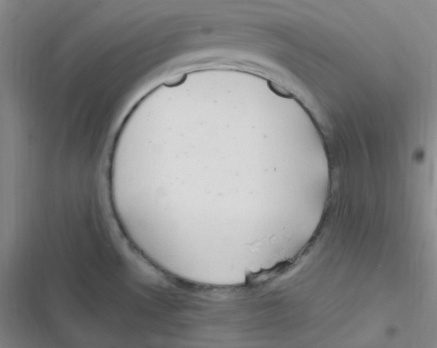 X0000116841530201001081448