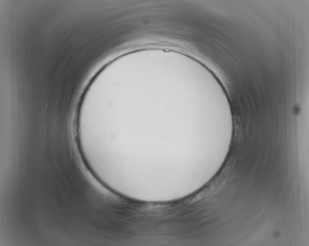 X0000116841531201001081448