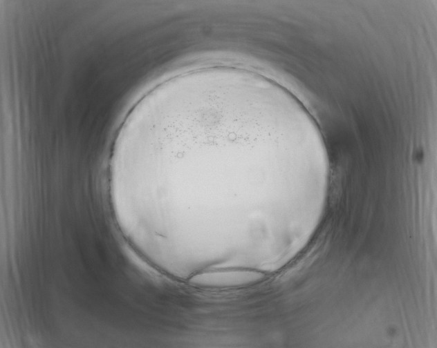 X0000116841535201001081448