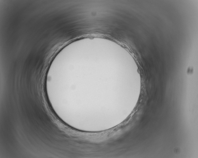 X0000116840001201001151257