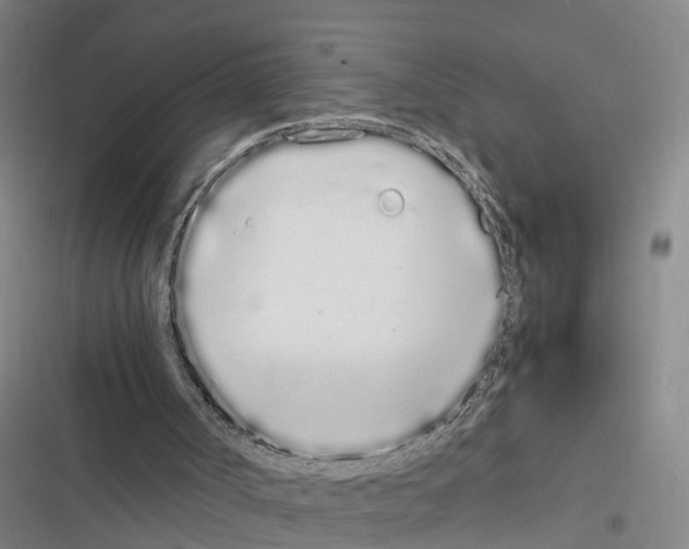 X0000116840002201001151257