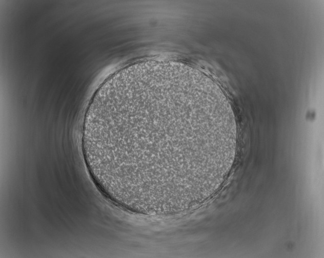 X0000116840003201001151257