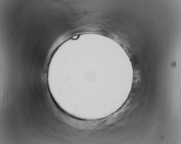 X0000116840004201001151257
