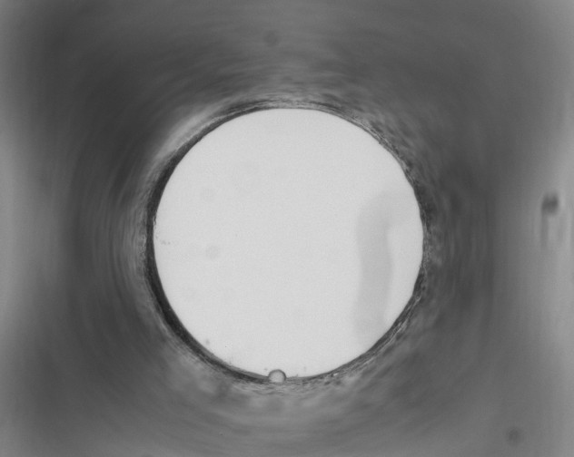 X0000116840005201001151257