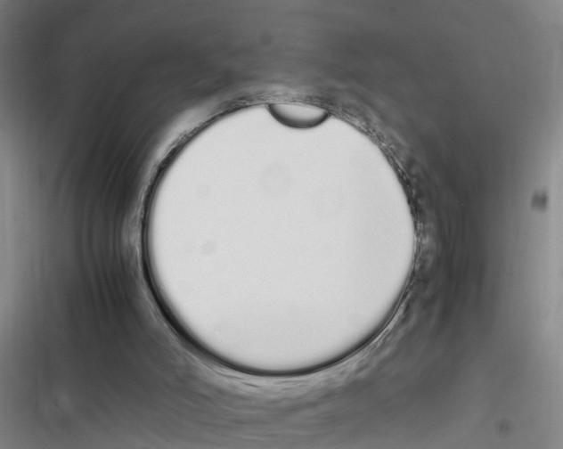 X0000116840006201001151257