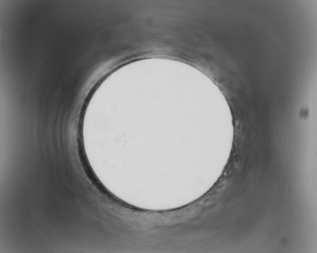 X0000116840007201001151257