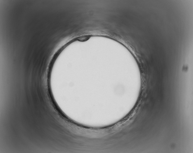 X0000116840008201001151257