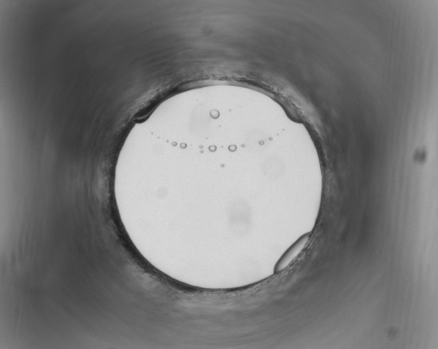 X0000116840009201001151257