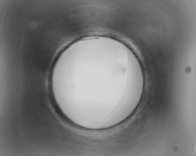 X0000116840010201001151257