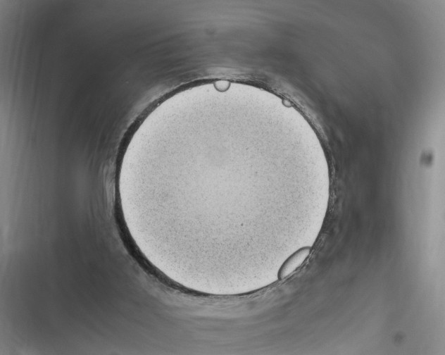 X0000116840011201001151257