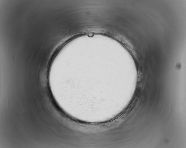 X0000116840012201001151257
