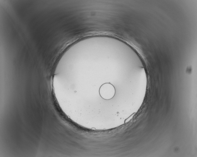 X0000116840013201001151257