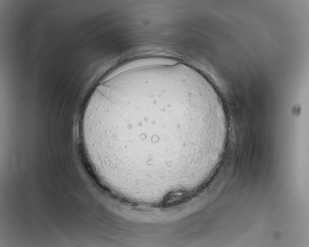 X0000116840014201001151257