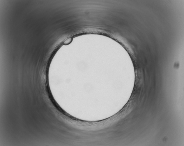 X0000116840015201001151257