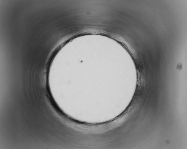 X0000116840016201001151257
