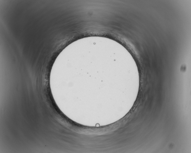 X0000116840017201001151257