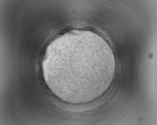 X0000116840018201001151256