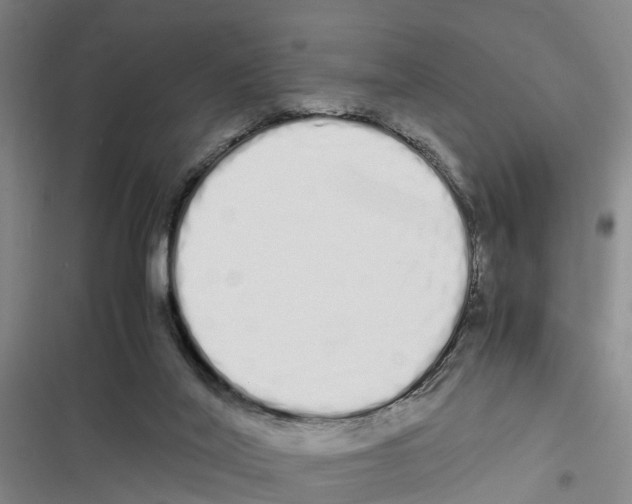 X0000116840020201001151256