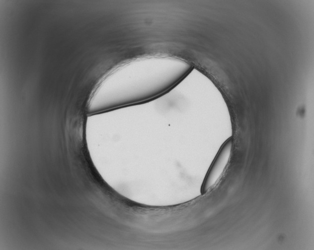 X0000116840021201001151256