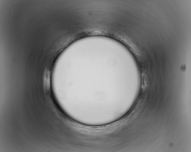 X0000116840022201001151256