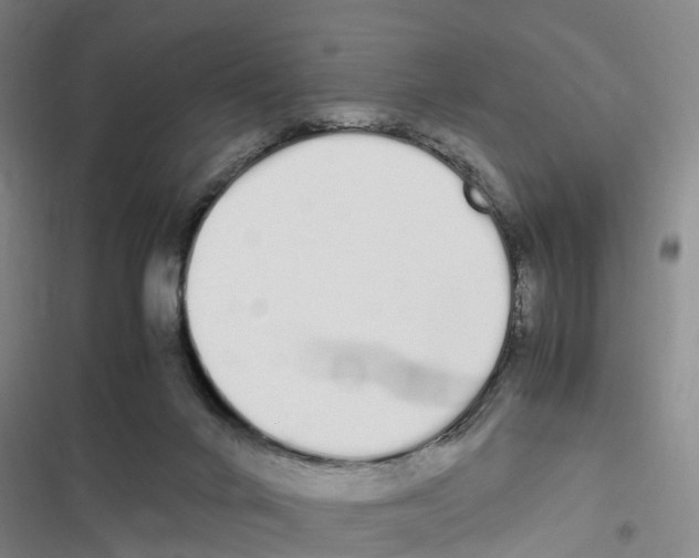 X0000116840024201001151256