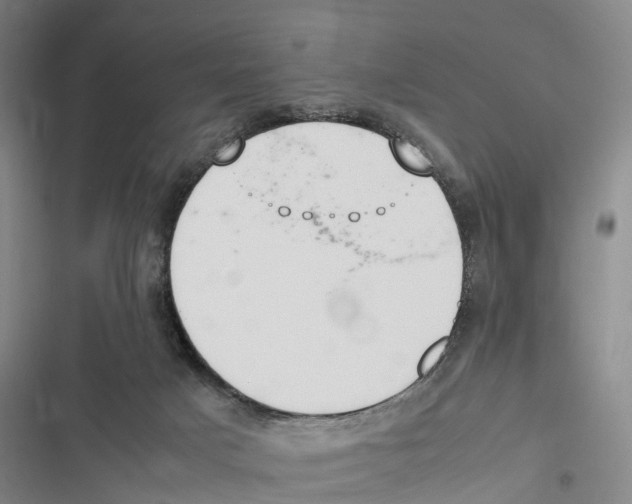 X0000116840025201001151256