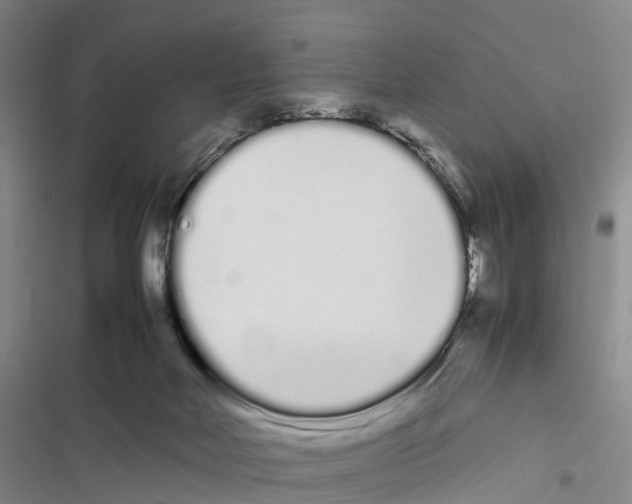 X0000116840026201001151256