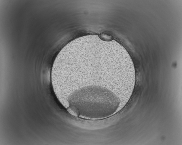 X0000116840027201001151256