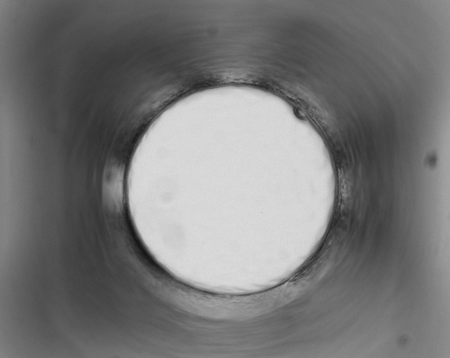 X0000116840028201001151256