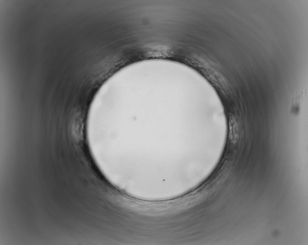 X0000116840030201001151256
