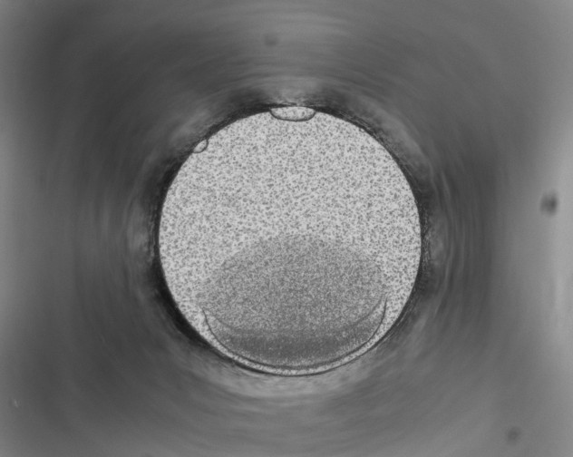X0000116840031201001151256