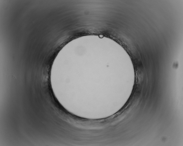 X0000116840032201001151256
