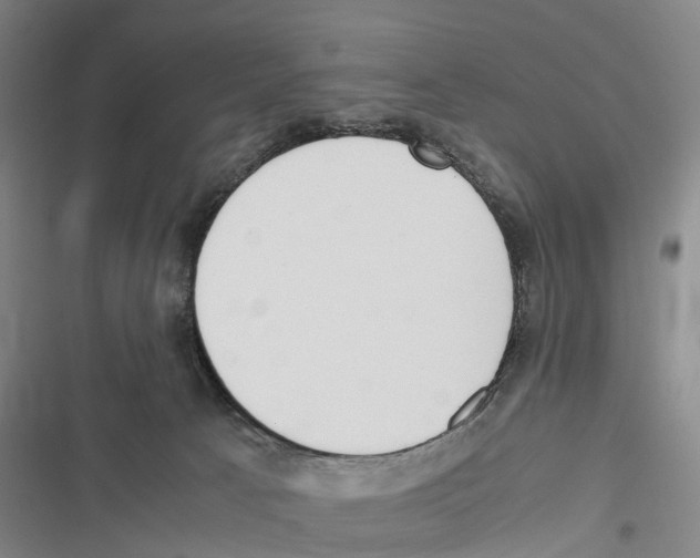X0000116840033201001151256